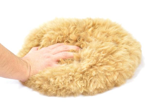 Weighted Alpaca Pillow Weighted Alpaca Pillow