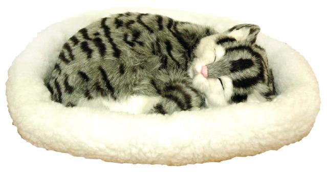 Breathing Cat Breathing Cat