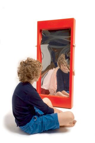 Distortion Mirror Distortion Mirror