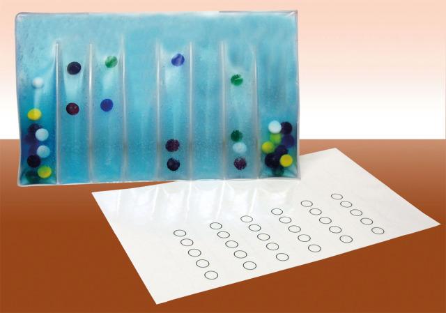 Number-Color Association Pad Number-Color Association Pad