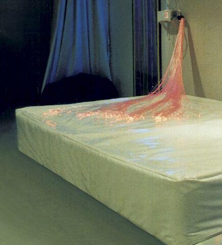 Single Waterbed Single Waterbed
