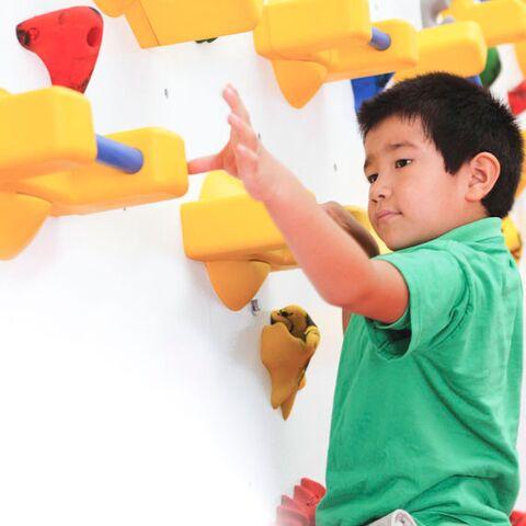Adaptive Climbing Wall - 12' Adaptive Climbing Wall - 12'