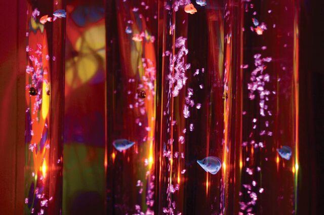 Aquarium Bubble Tube - Height 70" Aquarium Bubble Tube - Height 70"