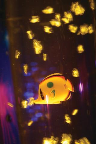 Bubble Tube Fish Bubble Tube Fish