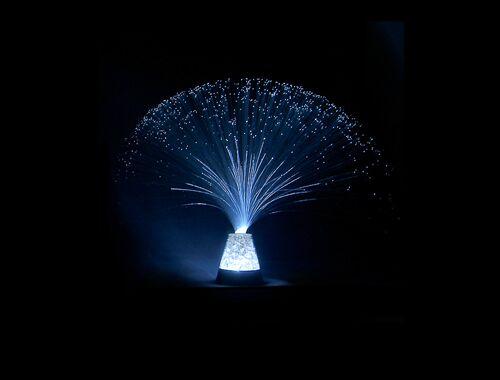 Fiber Optic Light Fiber Optic Light