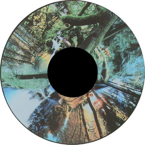 Solar Projector Effects Wheels- Style: Seasoned Woods Effects Wheel Solar Projector Effects Wheels- Style: Seasoned Woods Effects Wheel