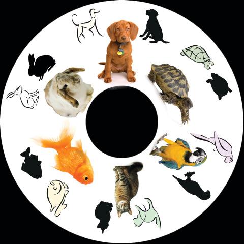 SNAP Projector Wheels- Style: Pets SNAP Projector Wheels- Style: Pets