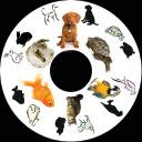 SNAP Projector Wheels- Style: Pets SNAP Projector Wheels- Style: Pets