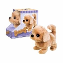 Dog Reward Unadapted Dog Reward Unadapted