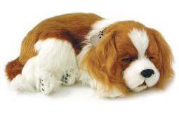 Breathing Dog Breathing Dog