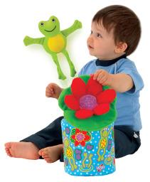 Frog-in-a-box Frog-in-a-box