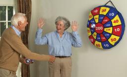 Dart Ball Game Dart Ball Game