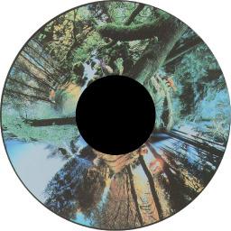 Solar Projector Effects Wheels- Style: Seasoned Woods Effects Wheel Solar Projector Effects Wheels- Style: Seasoned Woods Effects Wheel
