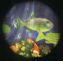 Solar Effects Wheels- Style: Tropical Fish Solar Effects Wheels- Style: Tropical Fish